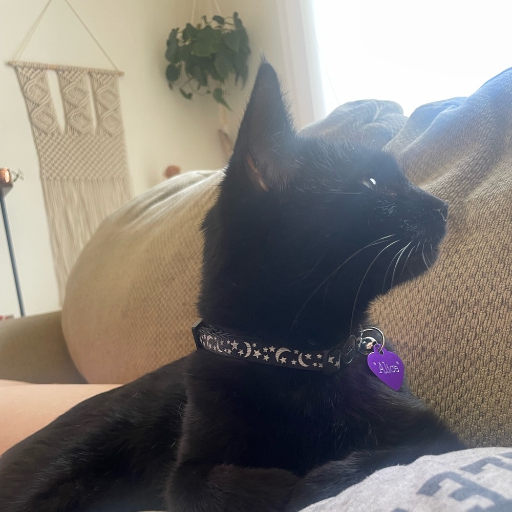 As above, so below ❣️